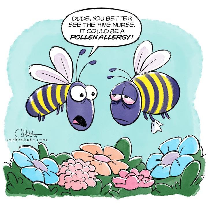 643589088 122127075477076280 1054909098572072343 n 643589088 122127075477076280 1054909098572072343 n