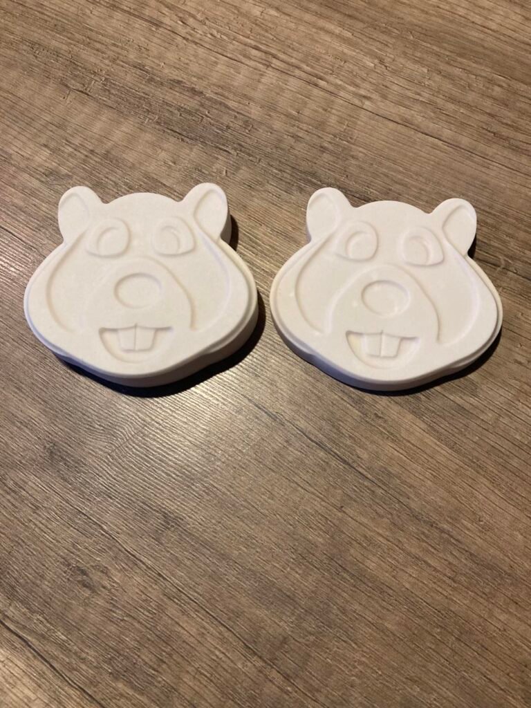hamsters