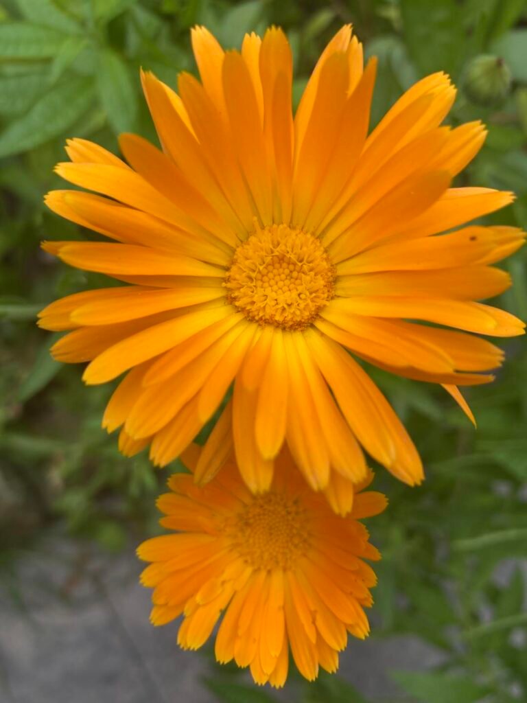 468633811 122129094146466051 1037424811710213233 n 468633811 122129094146466051 1037424811710213233 n